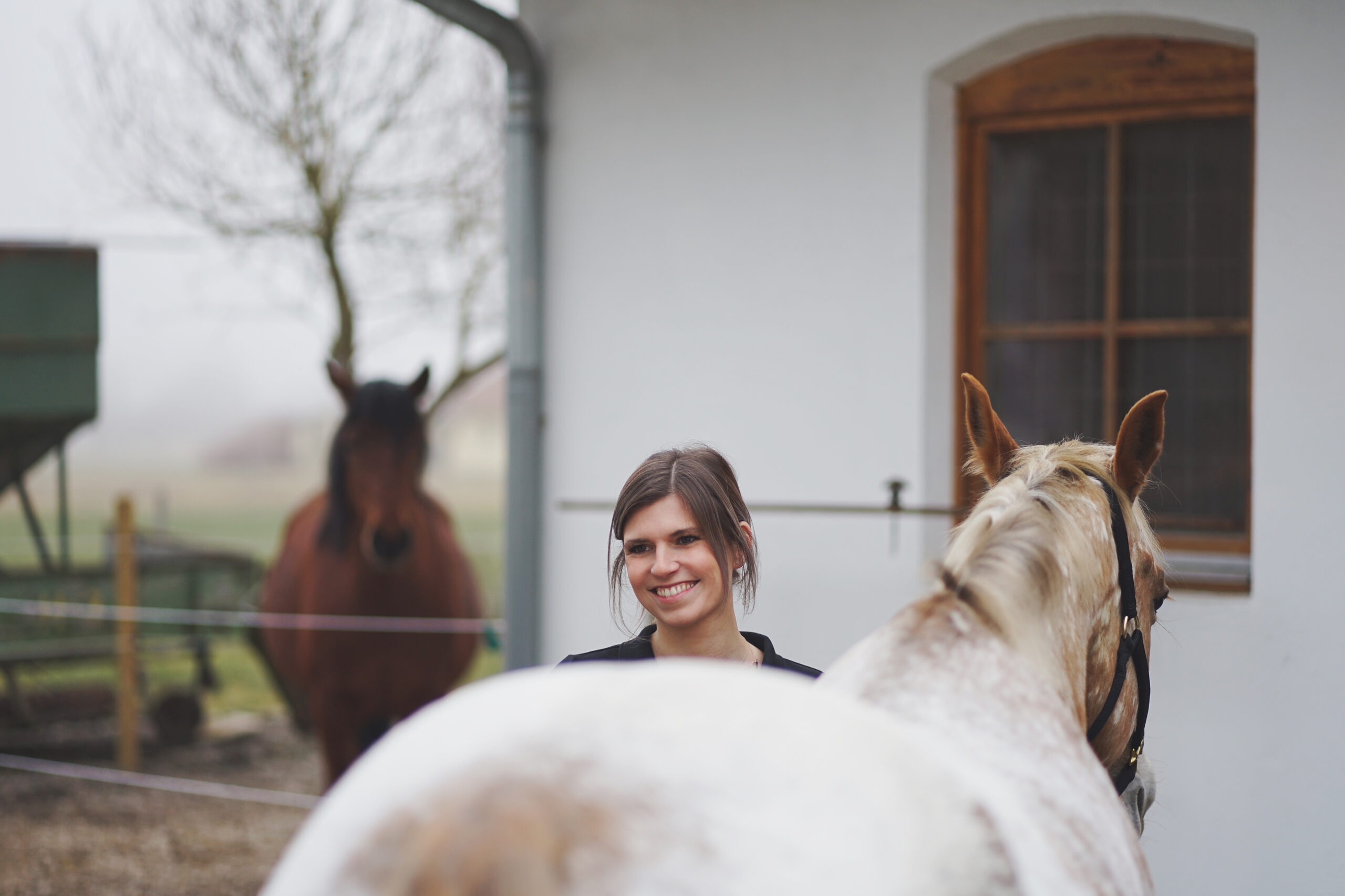 tierphysio kerscher, tierphysiotherapie,patricia kerscher, 84503 altöting, 84489 burghausen, 84453 mühldorf am inn, pferd, hund tierphysio kerscher, tierphysiotherapie,patricia kerscher, 84503 altöting, 84489 burghausen, 84453 mühldorf am inn, pferd, hund