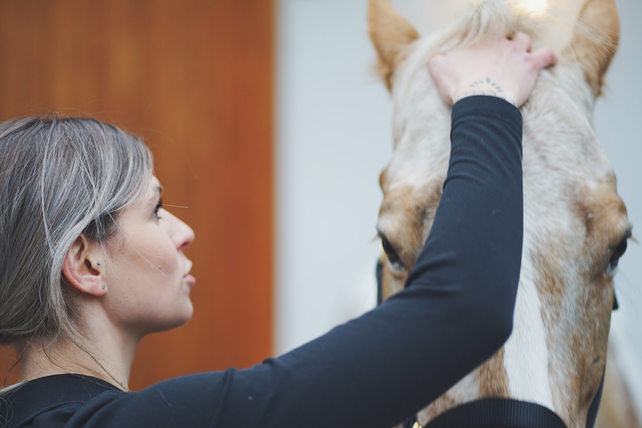vetphysioteam-haberl-und-kerscher-3-min