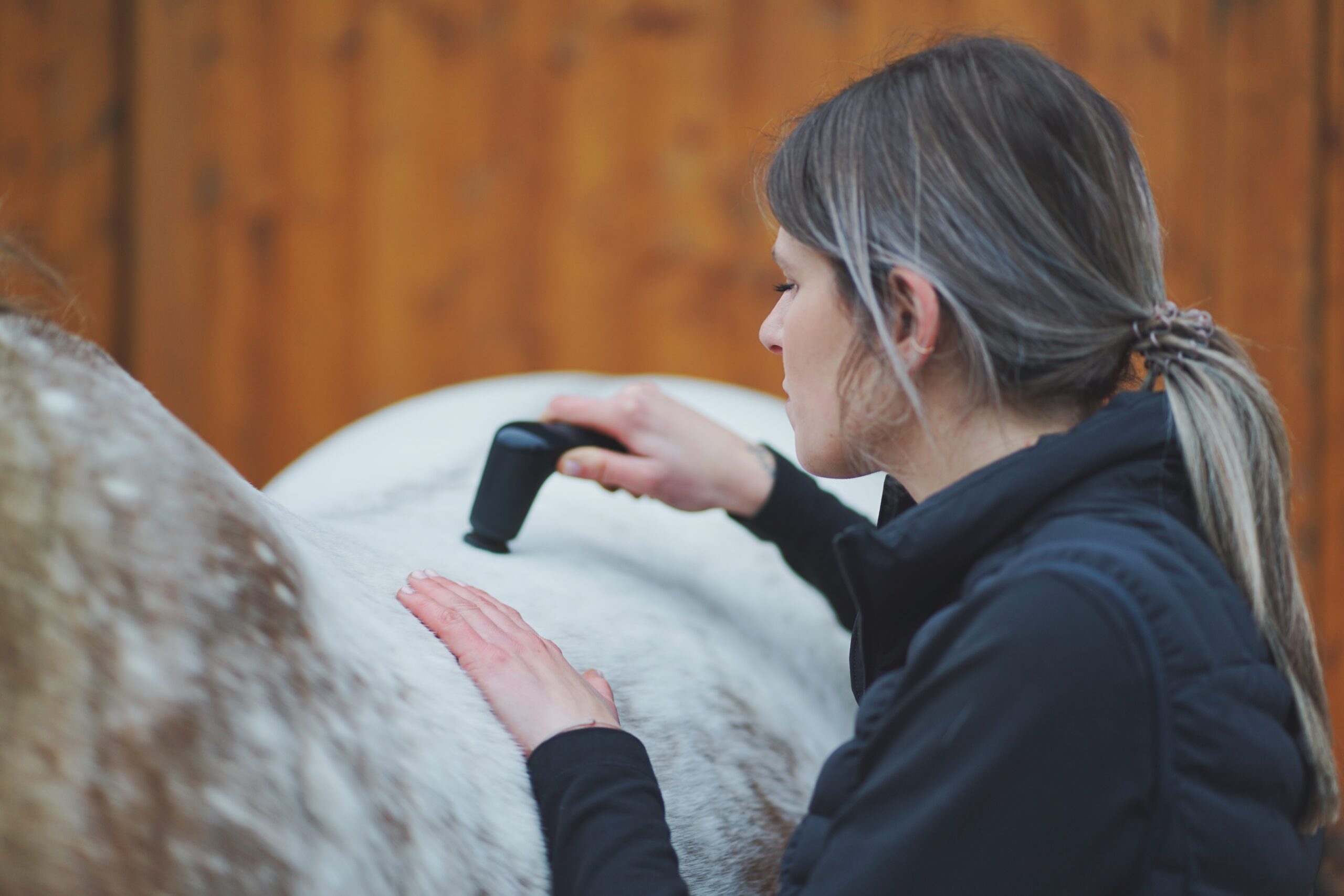 vetphysioteam-haberl-und-kerscher-physiotherapie vetphysioteam-haberl-und-kerscher-physiotherapie