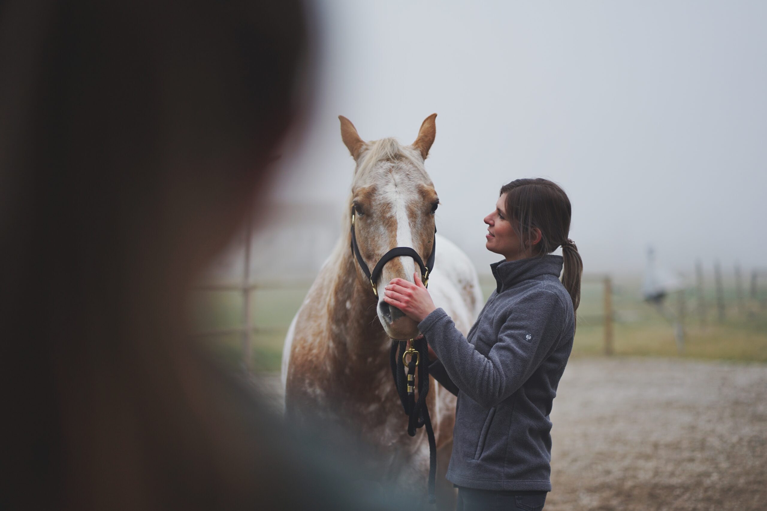vetphysioteam-haberl-und-kerscher-tierphysiotherapie-min tierphysio kerscher, tierphysiotherapie,patricia kerscher, 84503 altöting, 84489 burghausen, 84453 mühldorf am inn, pferd, hund