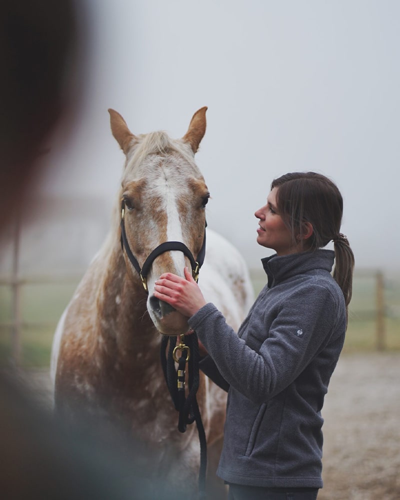 Vet-physio-Patricia-Kerscher-Nadine-Haberl-Tierphysiotherapeutin-Physiotherapie-Pferd-Anamnese-min
