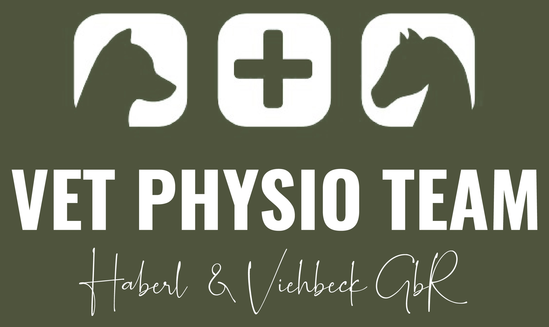 VET PHYSIO TEAM
